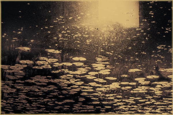 Albarrán Cabrera, The Mouth of Krishna #638, 2019