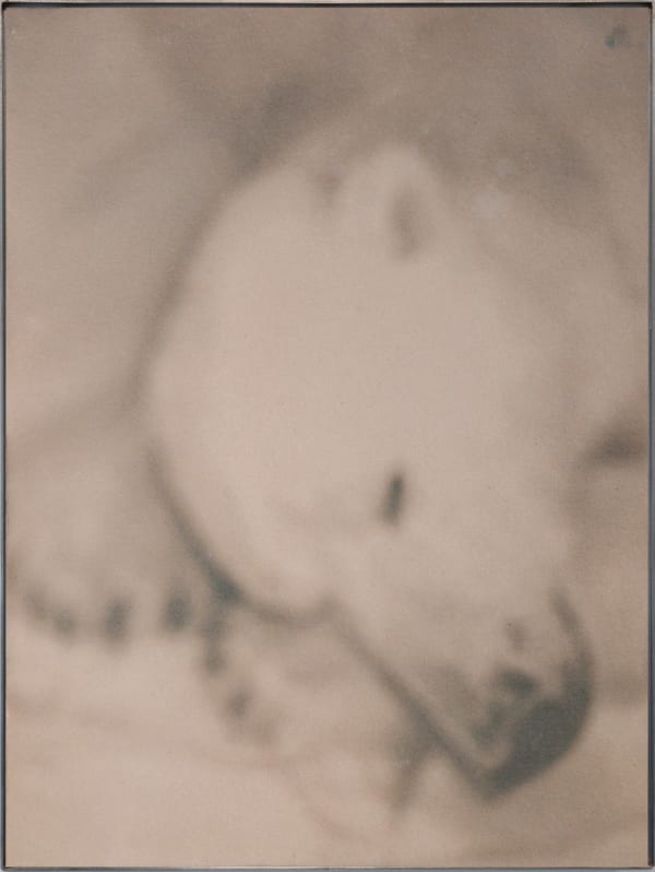 Justus de Rode, The needs of our feelings, 2024