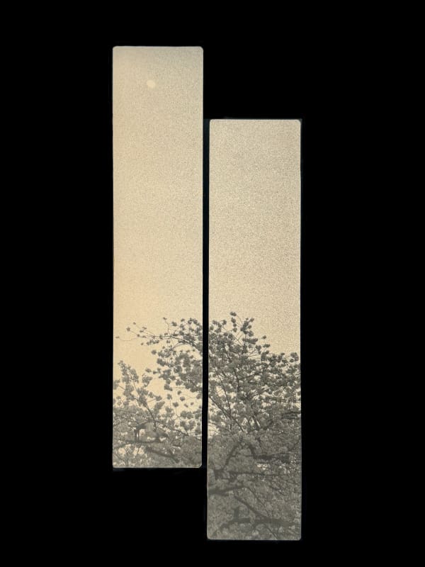 Miho Kajioka, #0121, 2018