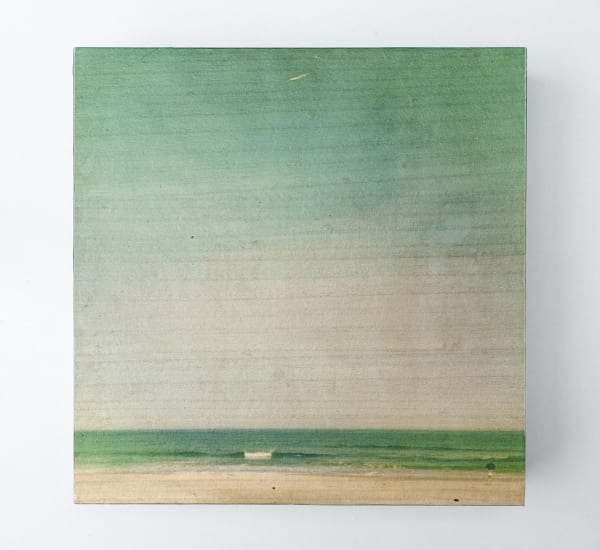 Miho Kajioka, and, do you still hear the peacocks?, 2021