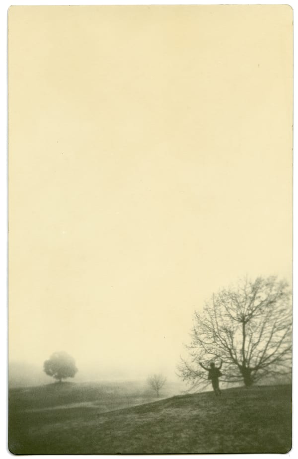 Miho Kajioka, BK0366, 2017