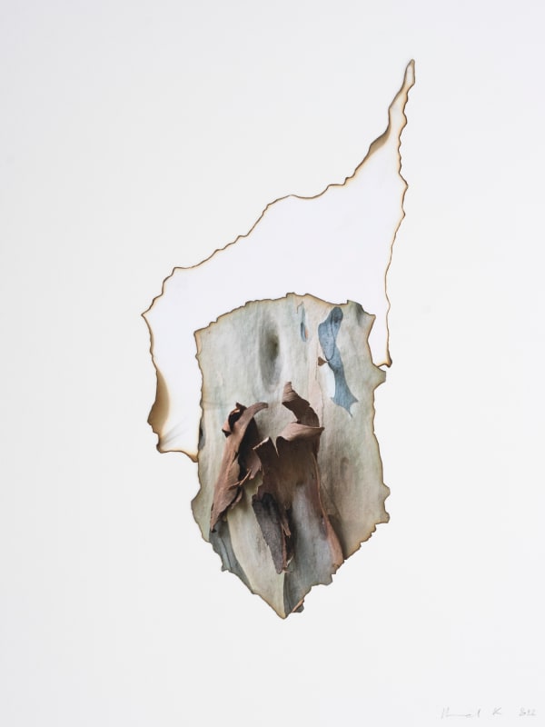 Morvarid K, This Too Shall Pass 3-19, 2022