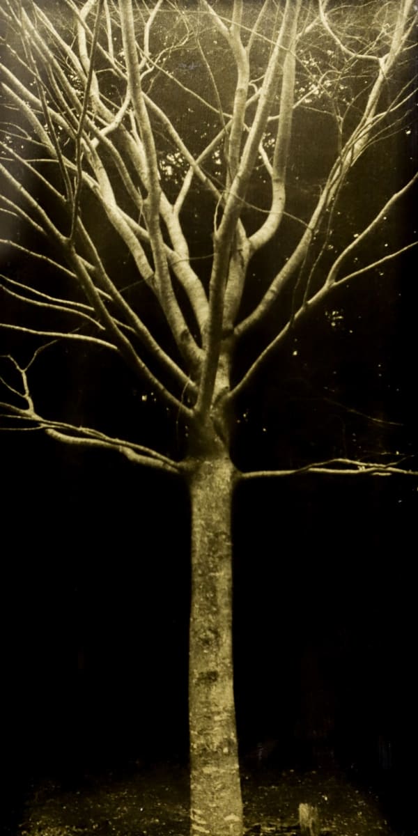 Naohiro Ninomiya, Glanage-80, 2023