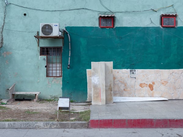 Bert Danckaert, True Nature #93 (Havana), 2017