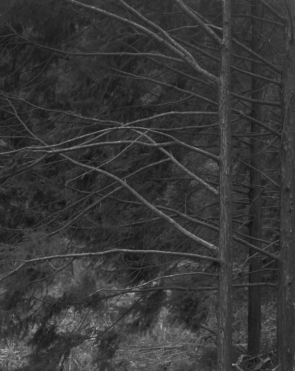 Gerry Johansson, East of Tsushima, Ehime, Japan, 1999