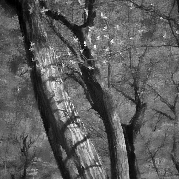 Toshiya Watanabe, Somewhere not here #041, 2018