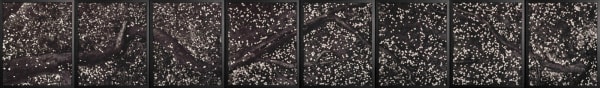 Naohiro Ninomiya, Sakura-4, 2010