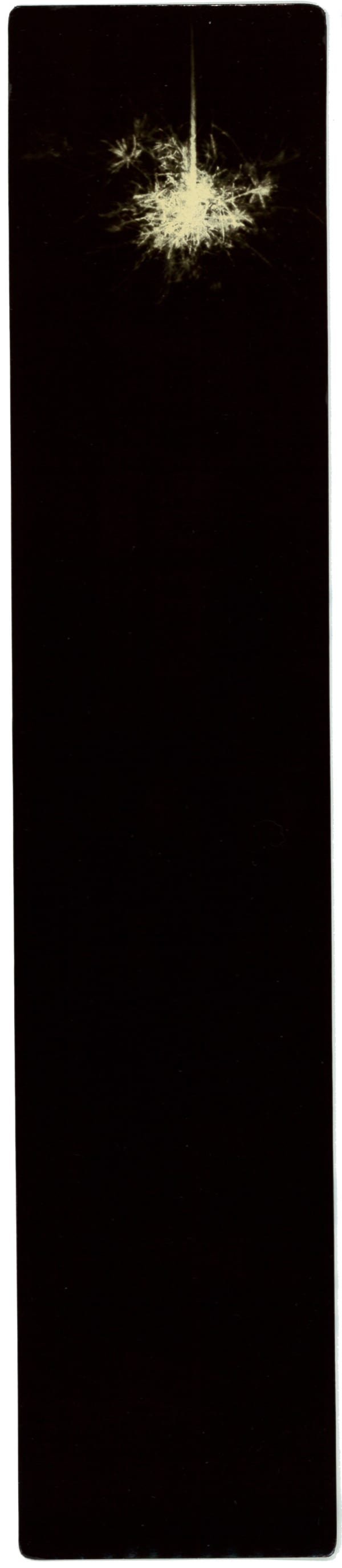 Miho Kajioka, BK0406, 2014