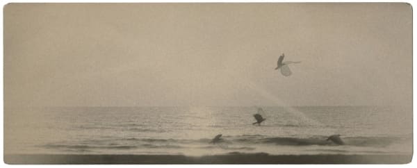 Miho Kajioka, BK0616, 2017