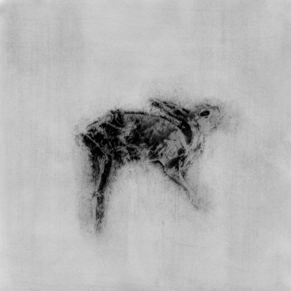 Hajime Kimura, Correspondence 24, 2017