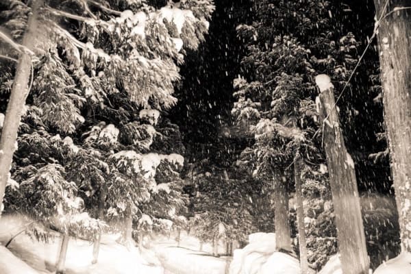 Yukari Chikura, Zaido 33, 2012-2017