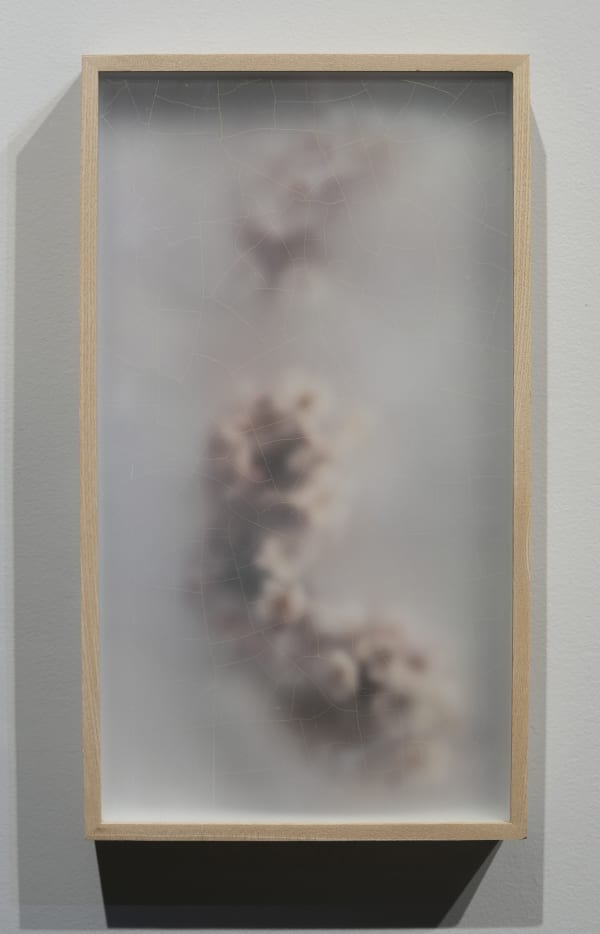 Other works