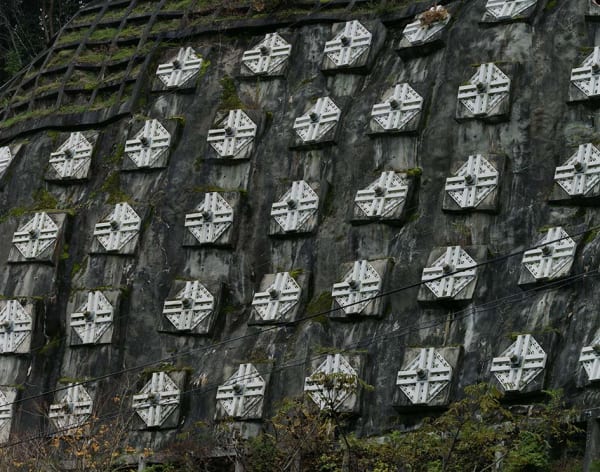 Toshio Shibata, C-2890 Koka City, Shiga Prefecture, 2016