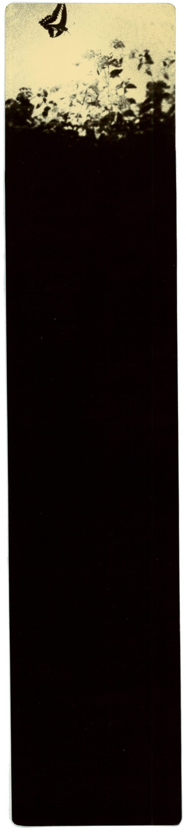 Miho Kajioka, BK0487, 2011