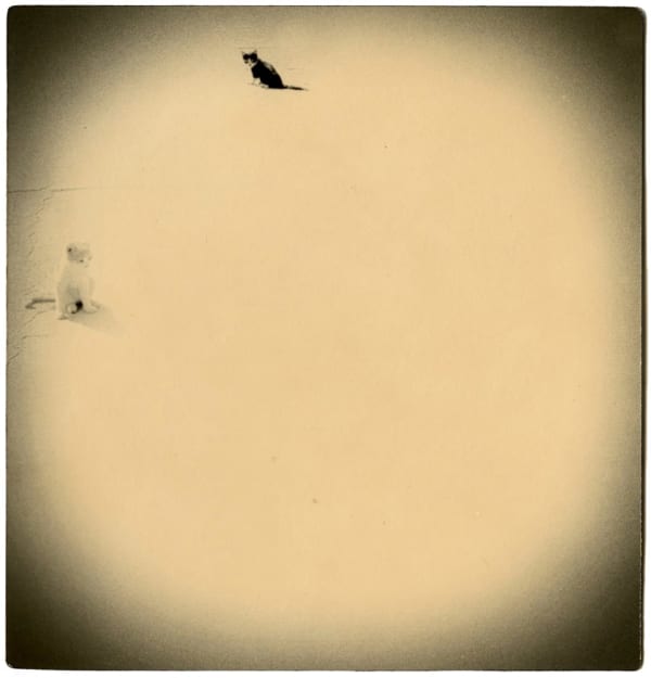 Miho Kajioka, BK0572, 2003