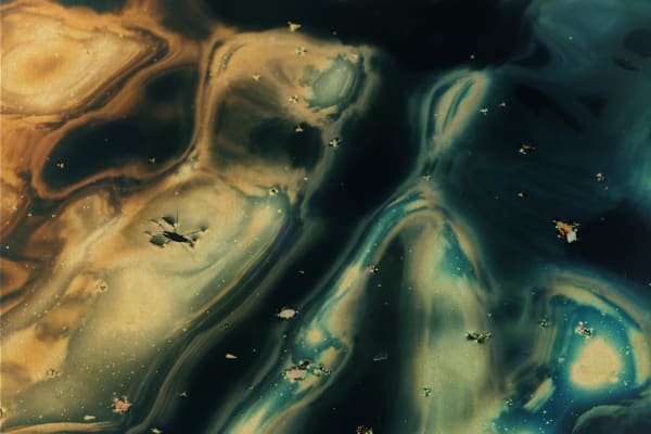 Albarrán Cabrera, The Mouth of Krishna #746, 2018/2020