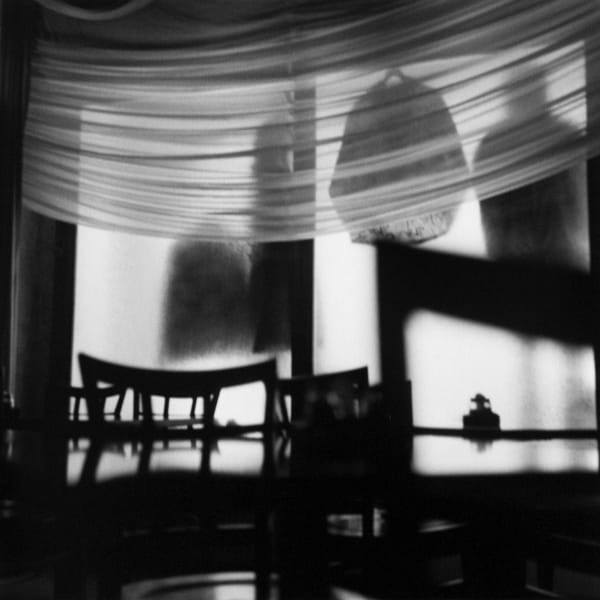 Reiko Imoto, Veil from Miniascape Window, 2011