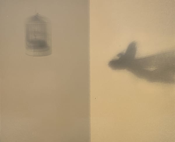 Miho Kajioka, BK0510, 2018