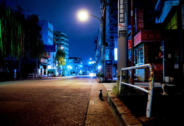 NEKO Project, Masakazu Ikeguchi - Untitled, 2012