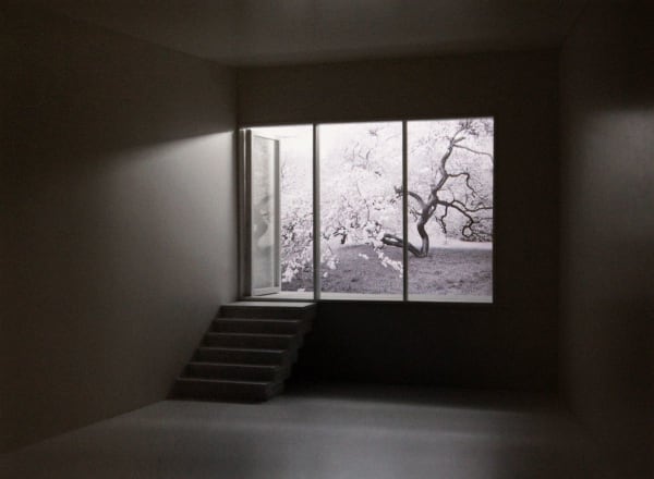 Various Japanese Artists, Mayumi Terada - View of Blossoms from Basement, 2007