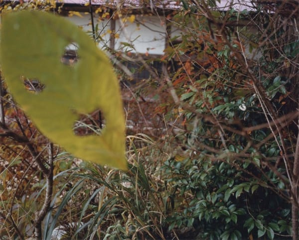 Yoko Ikeda, 0535-10 Aga Town, Niigata Prefecture, 2009