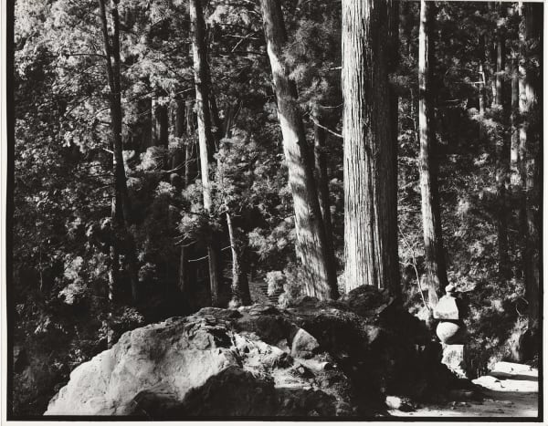 Ken Domon, Koji Junrai - Plate 062, 1963-1972