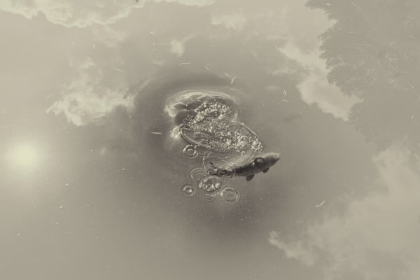 Albarrán Cabrera, The Mouth of Krishna #163, 2012/2015