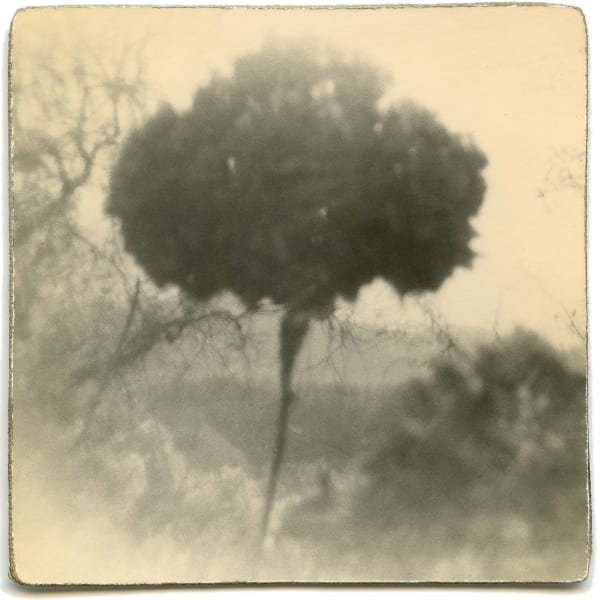 Miho Kajioka, BK0001, 2011