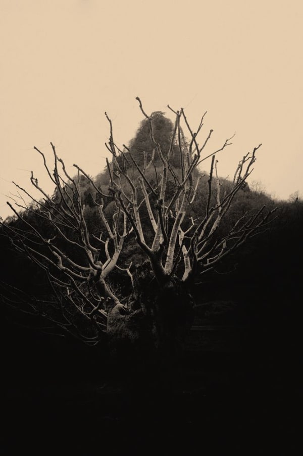 Albarrán Cabrera, The Mouth of Krishna #168, 2014