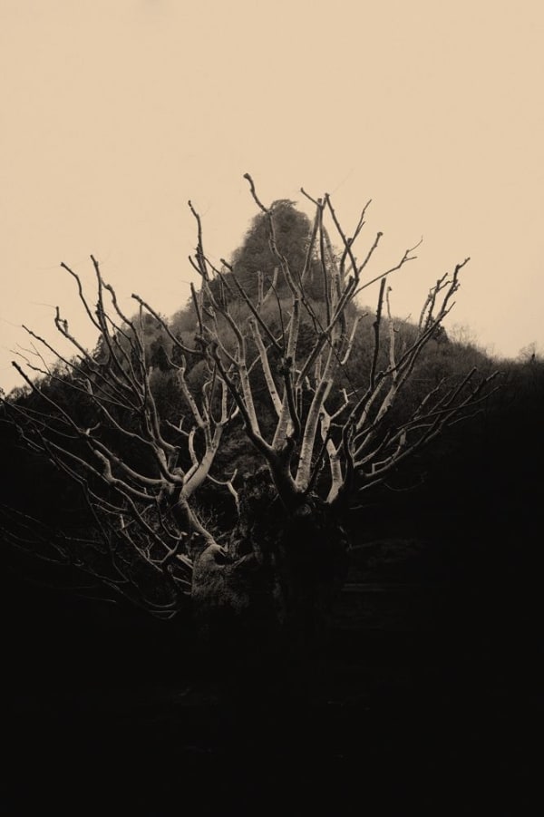 Albarrán Cabrera, The Mouth of Krishna #168, 2014