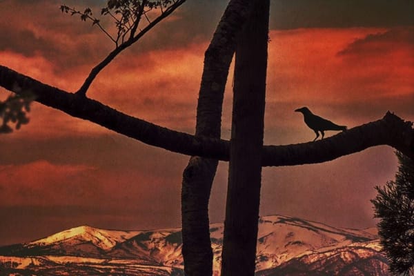 Albarrán Cabrera, The Mouth of Krishna #766, 2018/2018