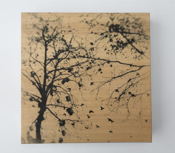 Miho Kajioka, and, do you still hear the peacocks?, 2021