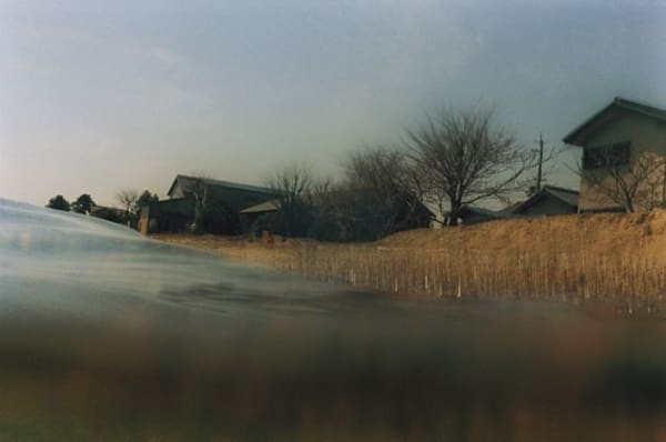 Asako Narahashi, Makino (Plate #EA-48), from Ever After, 2010