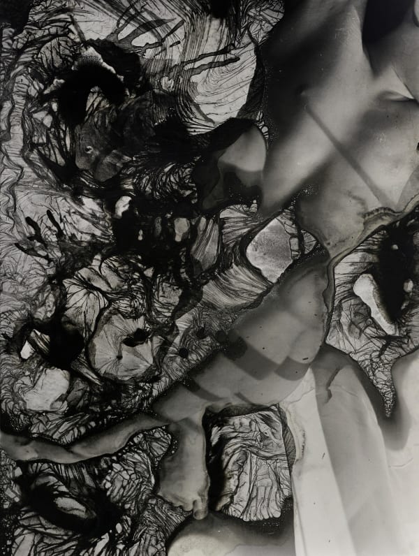 Ingrid Dorner, Liminal.II.08, 2024