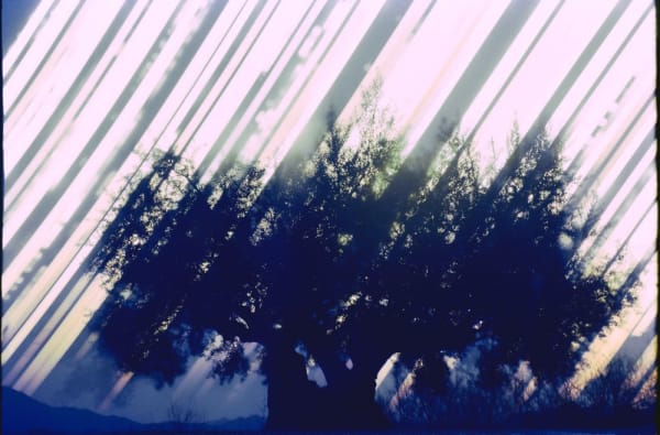 Ken Kitano, Gathering Light, Shodoshima Island, Tonosho Town, Kagawa, No. 2, from winter solstice 2017 to summer solstice 2018