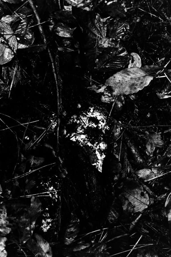 Munemasa Takahashi, Laying Stones 009, 2014