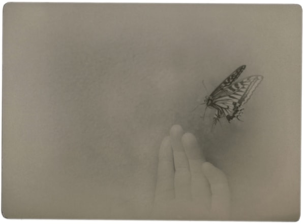 Miho Kajioka, BK0627, 2020