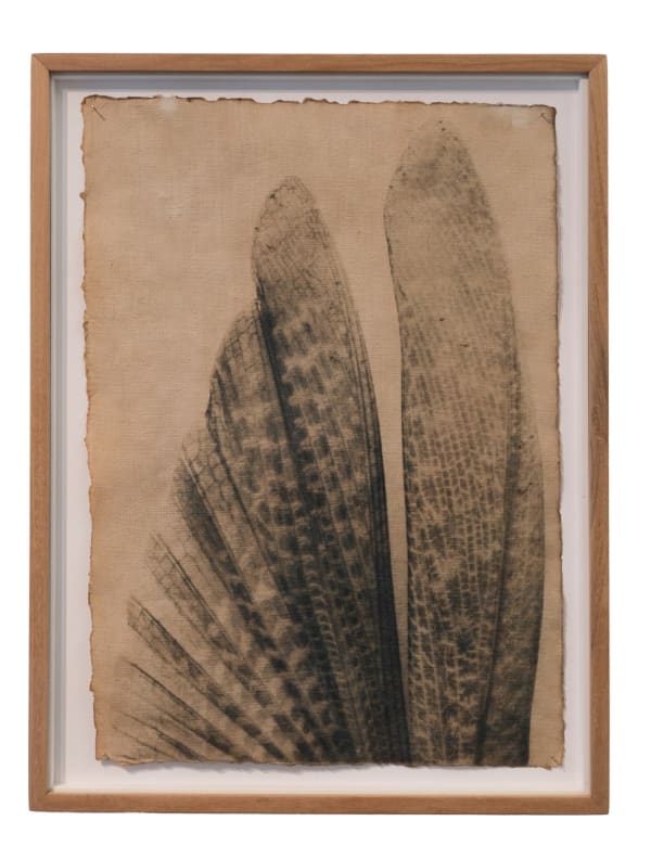 Justus de Rode, The ethereal image fluctuates in the play of the airs