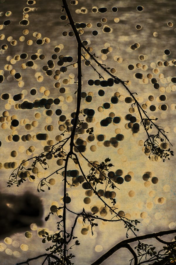 Albarrán Cabrera, The Mouth of Krishna #1049, 2024/2025