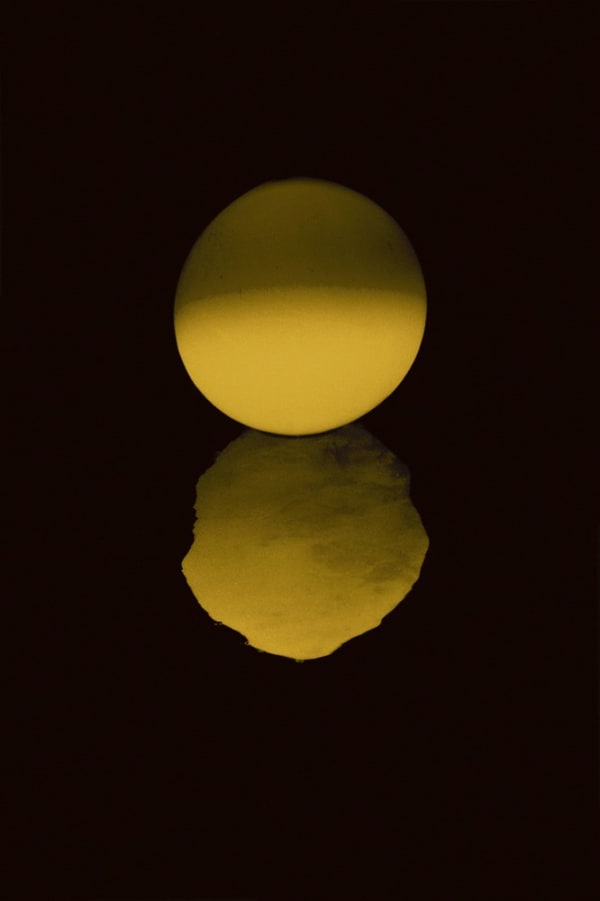 Paul Cupido, Balancing on the Tipping Point, 2018