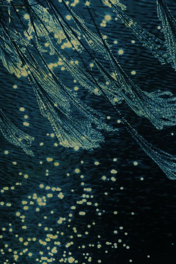 Albarrán Cabrera, The Mouth of Krishna #34860, 2019