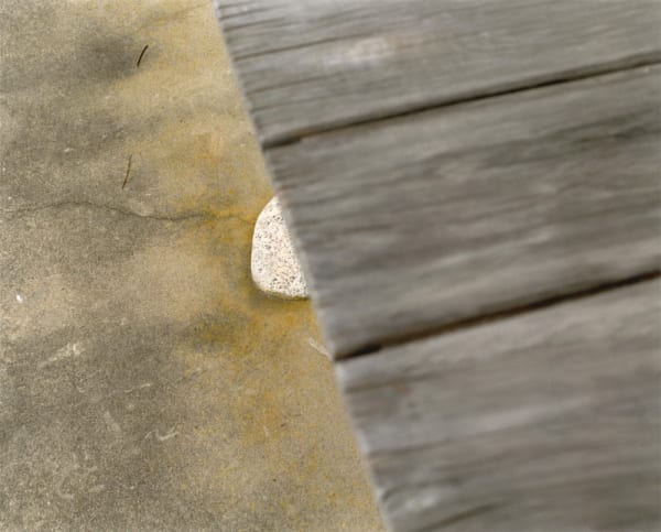 Yoko Ikeda, 1448-05 Tsuruoka City, Yamagata Prefecture, 2016