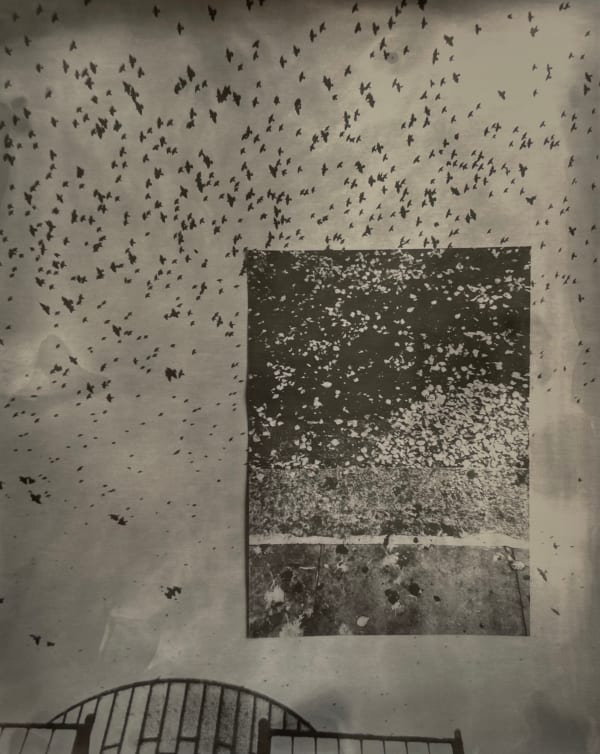 Sayako Sugawara, K-FH, 2018