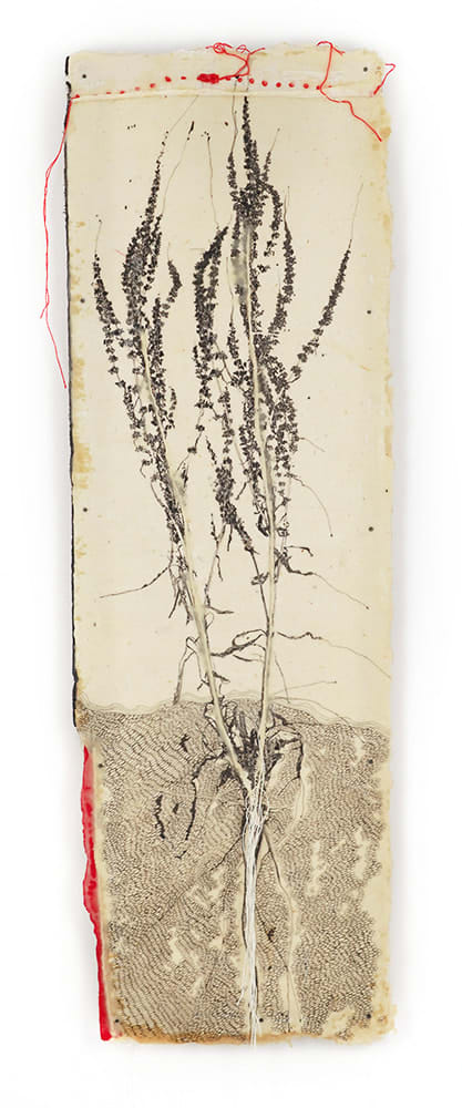 Jackie Mulder, Thought Trails #421, 2025