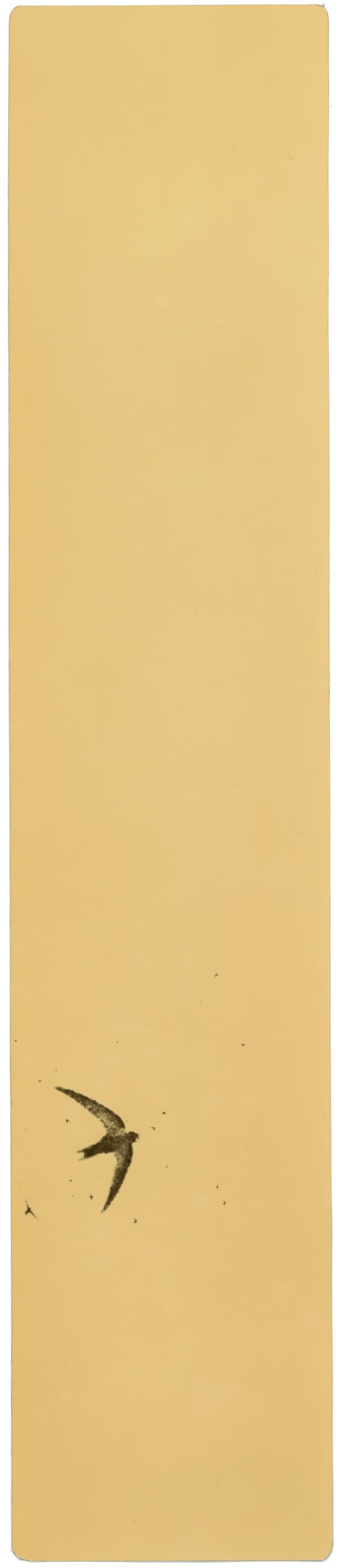 Miho Kajioka, BK0372, 2018