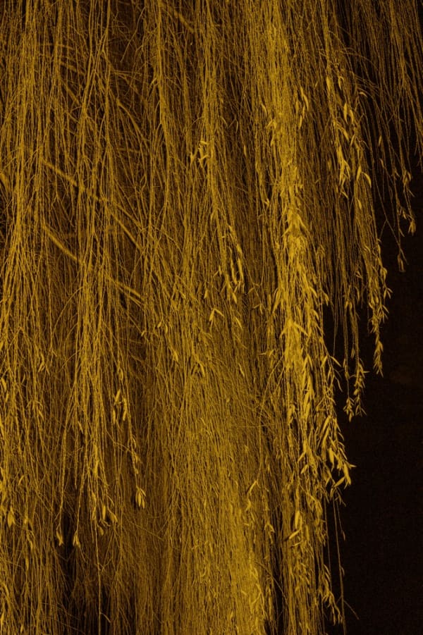 Paul Cupido, Universal Everything, 2022