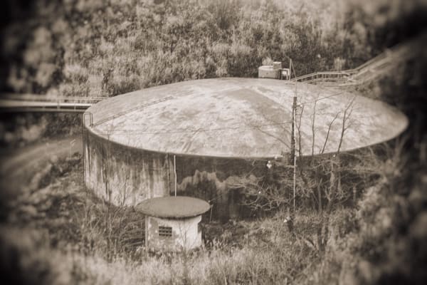 Yukari Chikura, Untitled, from Fluorite Fantasia, 2015