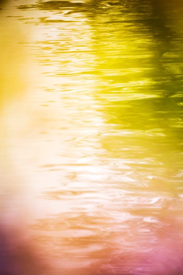 Yoshinori Mizutani, Voices of Flowers 001, 2016
