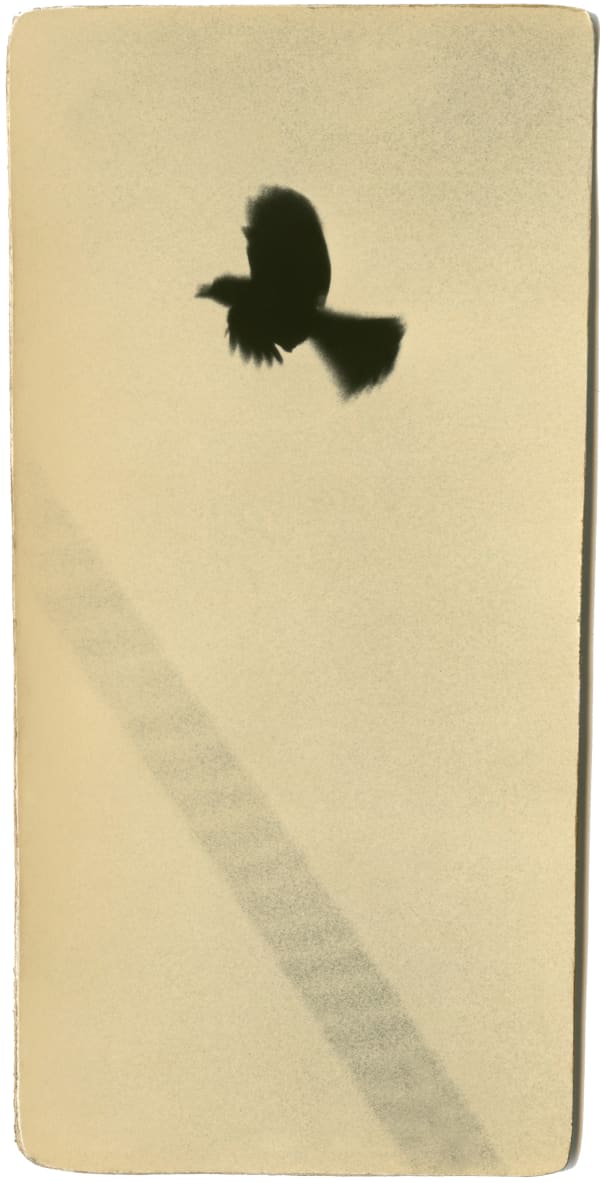 Miho Kajioka, BK0039, 2008