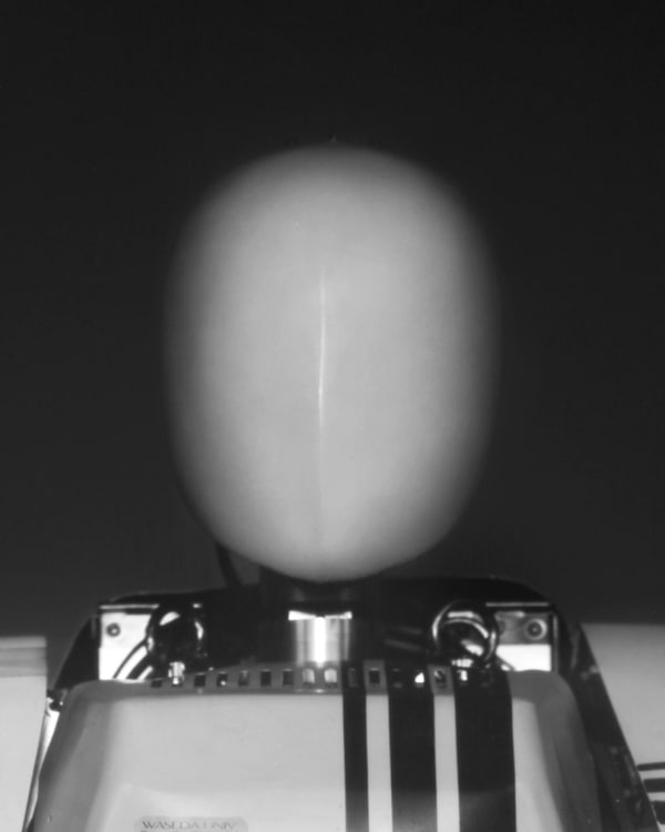 Wanda Tuerlinckx, Wabian-2RIII, Takanashi Laboratory of Waseda University, Tokyo, Japan, 2017